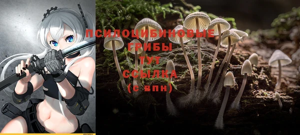 тгк Нея