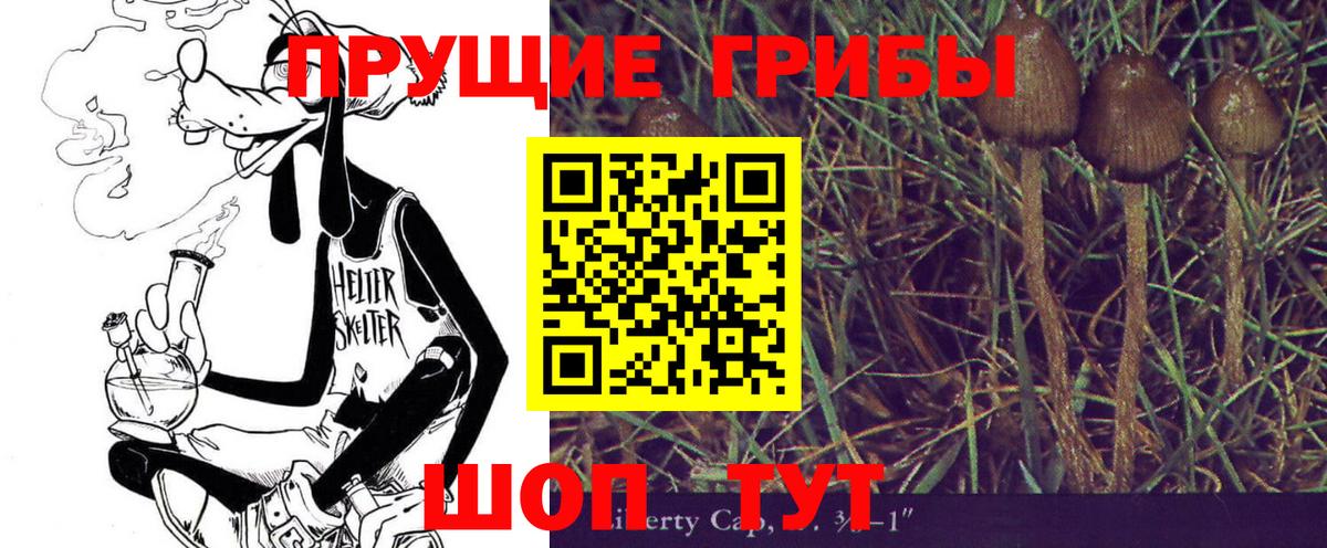 Галлюциногенные грибы прущие грибы  Галлюциногенные грибы мицелий  Урюпинск 