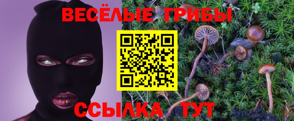 Галлюциногенные грибы GOLDEN TEACHER Урюпинск