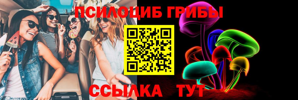 Галлюциногенные грибы мухоморы Урюпинск